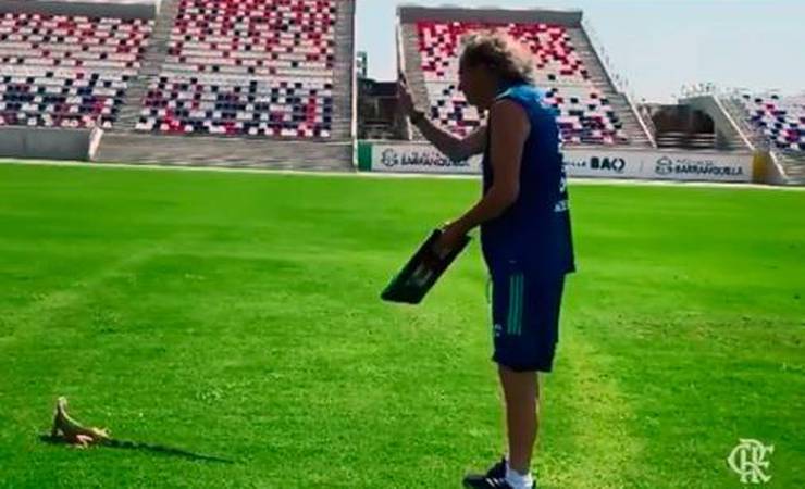 'Espião' e 'novo reforço'! Torcedores brincam com Jorge Jesus afastando lagarto em treino na Colômbia