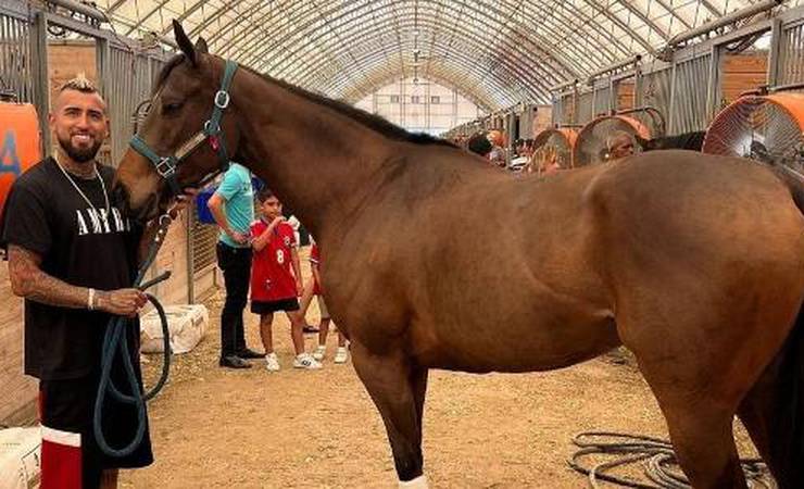 Haras de Vidal tem cavalo de R$ 310 mil e casa de seis quartos; veja