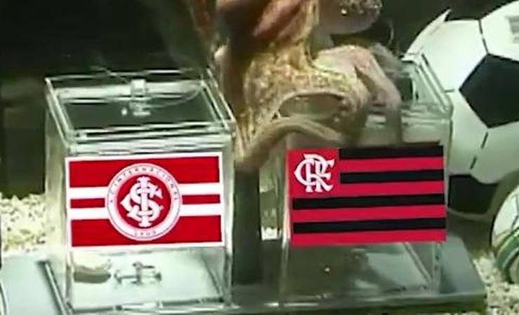 Flamengo provoca Inter com polvo Paul, profeta da Copa de 2010: 'Não erra'
