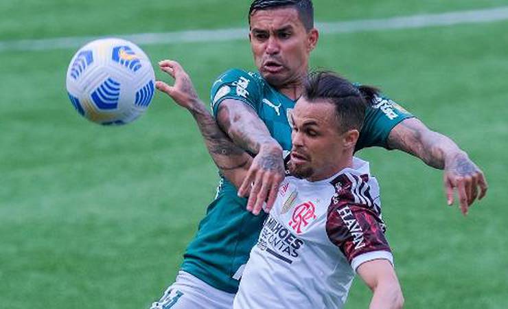 Alicia: Flamengo e Palmeiras: falta concorrência, sobram ranço e títulos