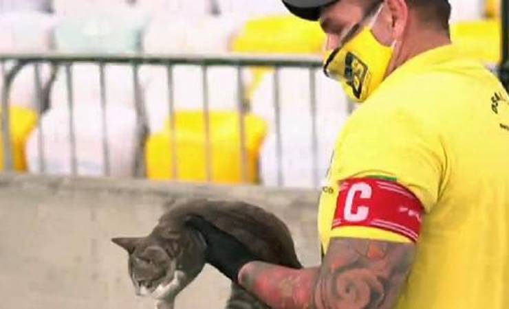 Gato invade Maracanã e rouba a cena em Flamengo x Grêmio; veja
