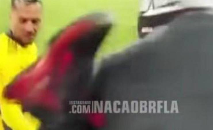 Torcedor cai ao tentar invadir campo para brigar com Diego Alves; assista