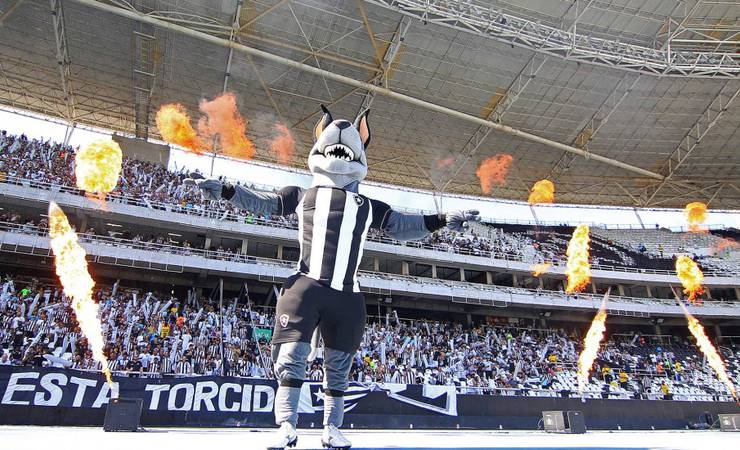 Com aporte externo, Botafogo pega atalho em ciclo que Flamengo tenta sustentar