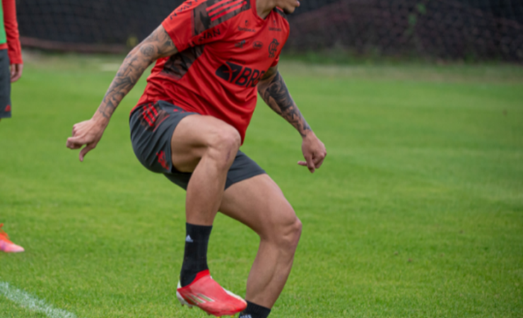 Flamengo se reapresenta no Ninho do Urubu visando partida contra o ABC