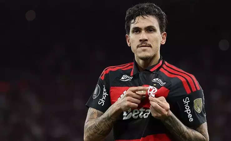 Pedro lidera artilharia do Flamengo no Brasileirão e foi convocado