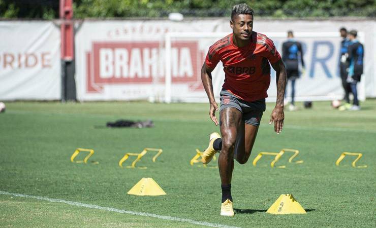 Flamengo pretende implementar gramado híbrido no Ninho do Urubu