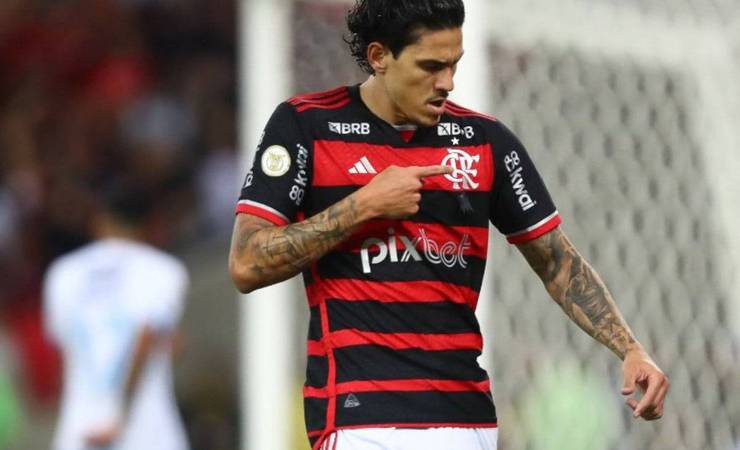 Pedro lidera artilharia do Brasil e se aproxima de melhor marca pelo Flamengo