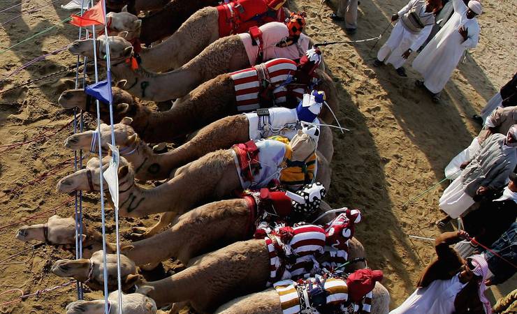Futebol perde para corrida de camelos, e Mundial de Clubes fica em segundo plano em Doha